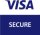 VISA Secure логотип
